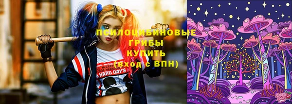 герыч Алексин
