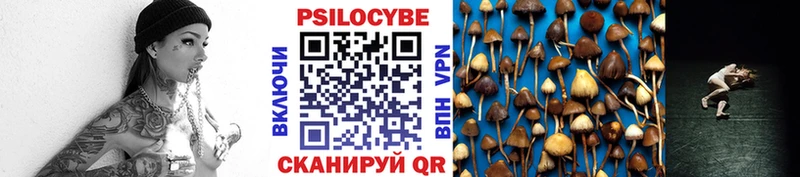 купить Духовщина Псилоцибиновые грибы Magic Shrooms